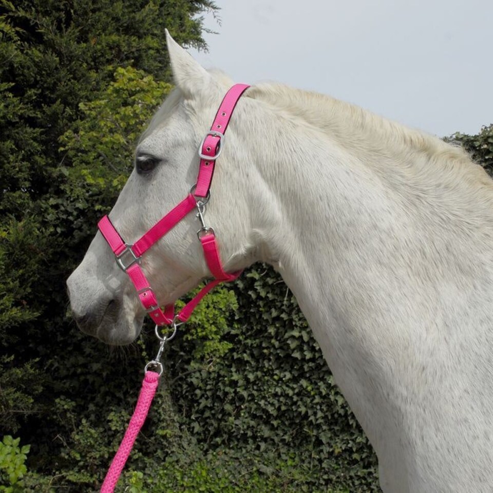 image 1 of Rhinegold Carnival Headcollar & Rope Blue | Colour: Blue Check
Size: Full