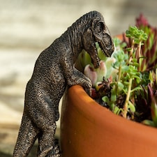 Tyranasaurus Rex Plant Pot Hanger | Bronze