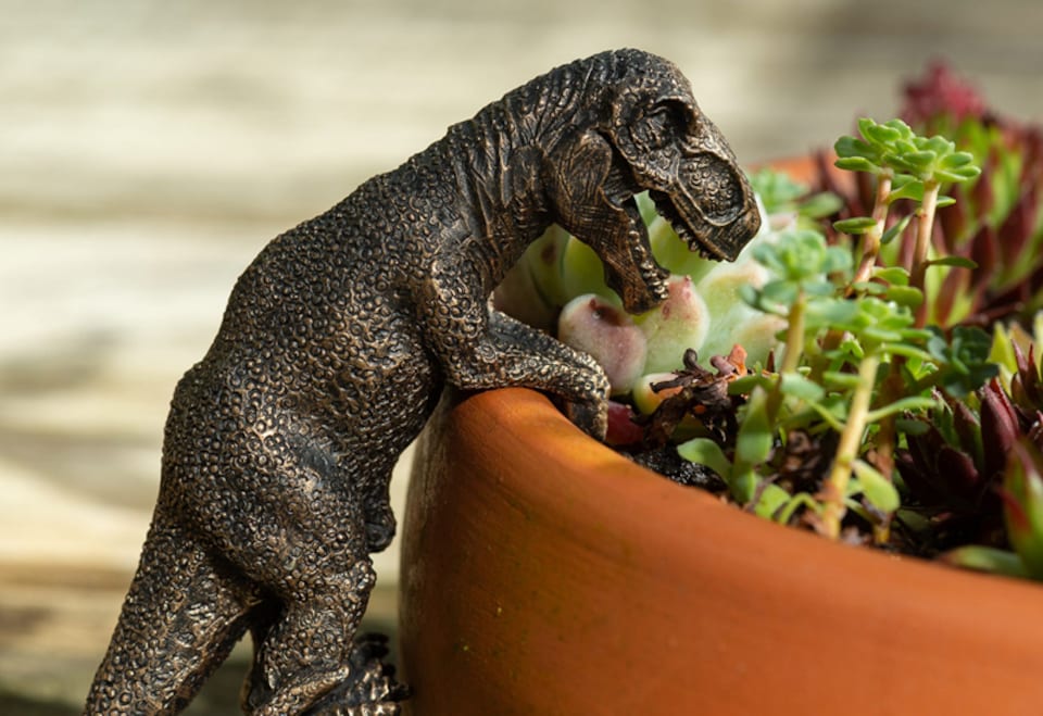 image 1 of Tyranasaurus Rex Plant Pot Hanger | Bronze