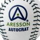 image 3 of Aresson Autocrat Leather Rounders Ball - White - One Size