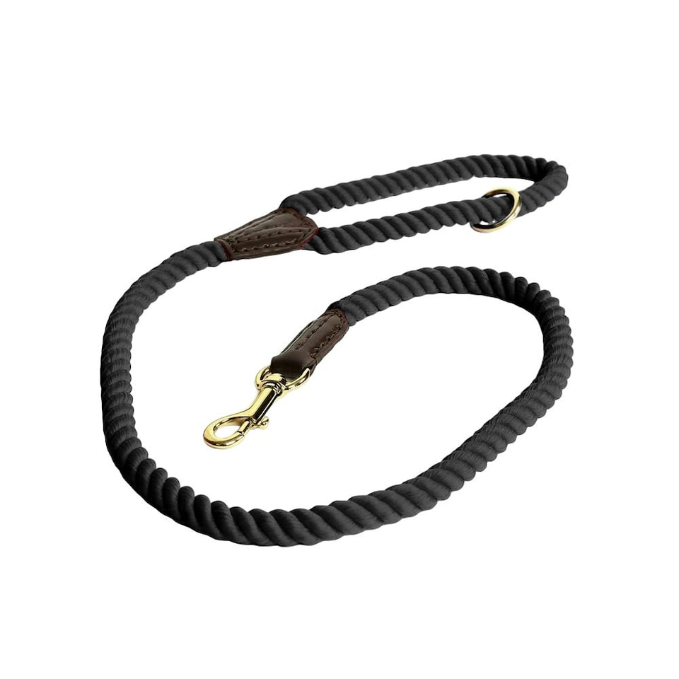image 1 of Digby & Fox Twisted Dog Lead - Black - One Size