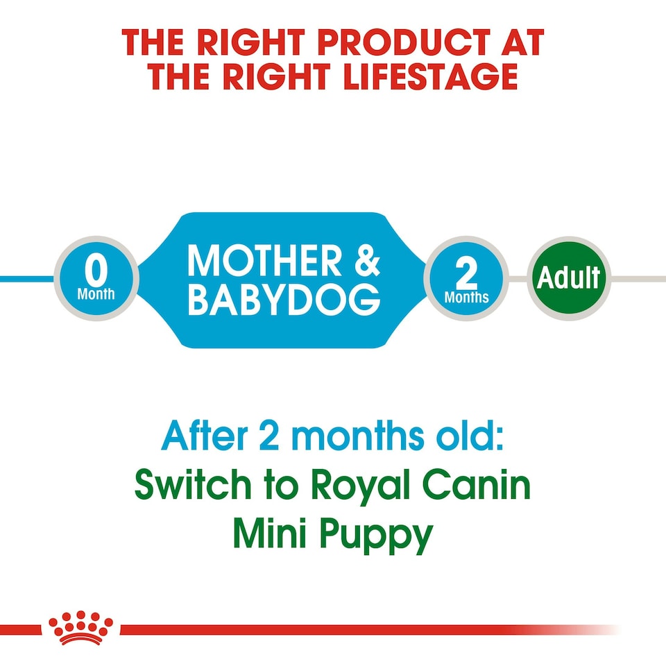 image 1 of ROYAL CANIN® Mini Starter Mother & Babydog Adult and Puppy Dry Food N/A | Size: 1kg