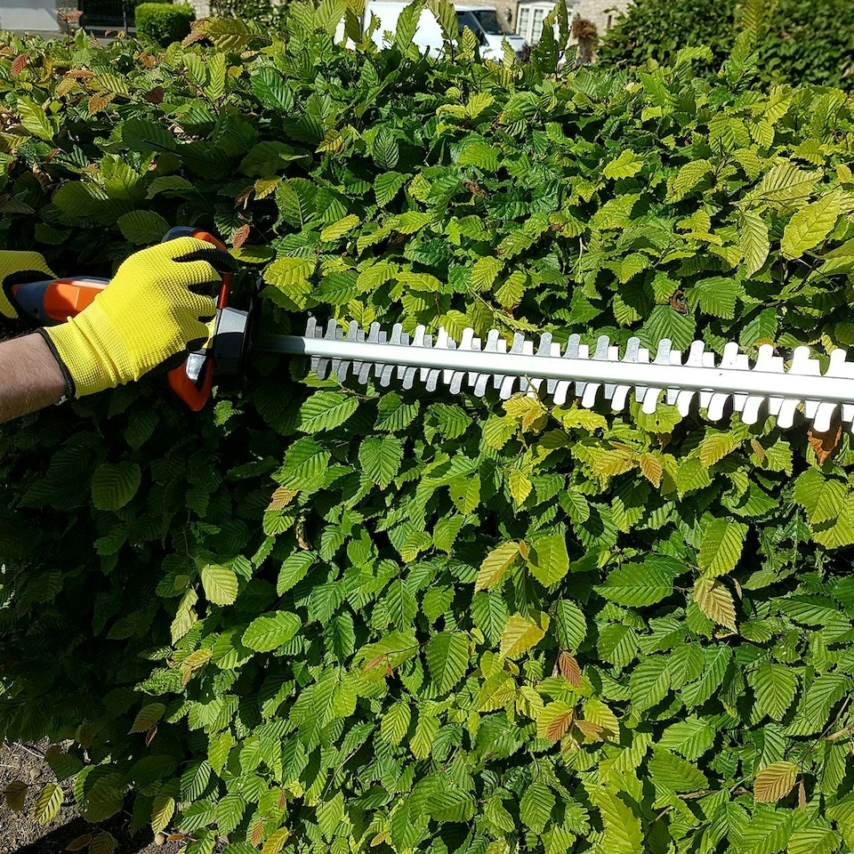 image 1 of Terratek 20V Cordless Hedge Trimmer 1 Battery & 1 Charger | Grey | Grey | 1