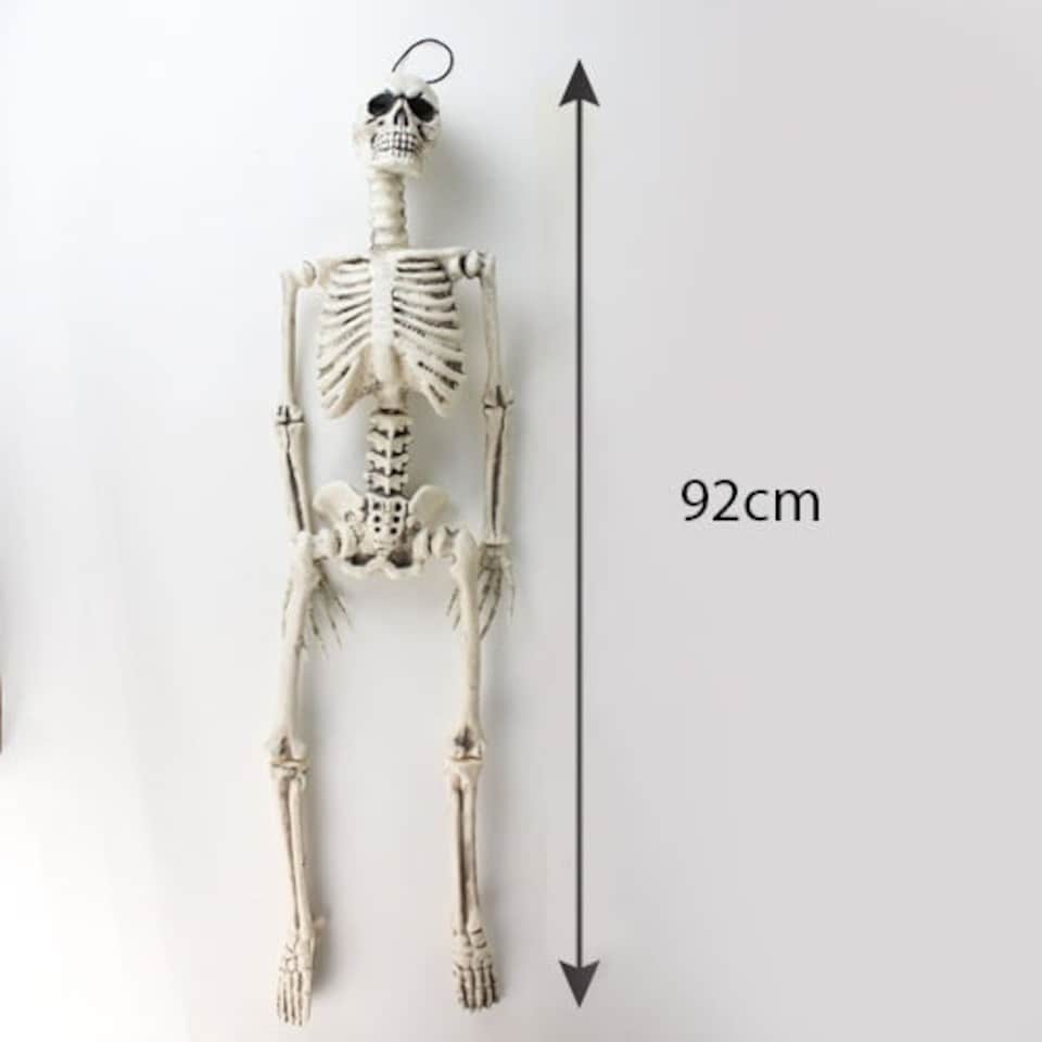 image 1 of Halloween Prop Skeleton Hanging Decoration 92cm