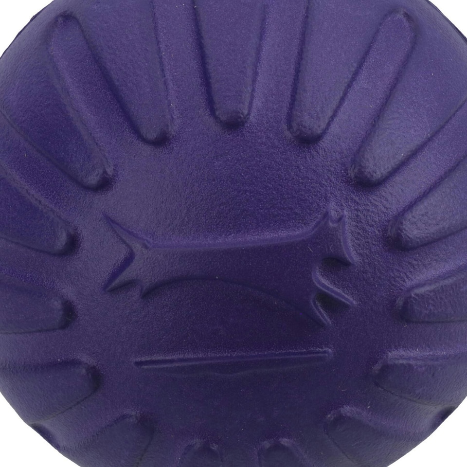 image 1 of Large Interactive Play Durafoam Dog Puppy Ball Floating Toy-Assorted Colour