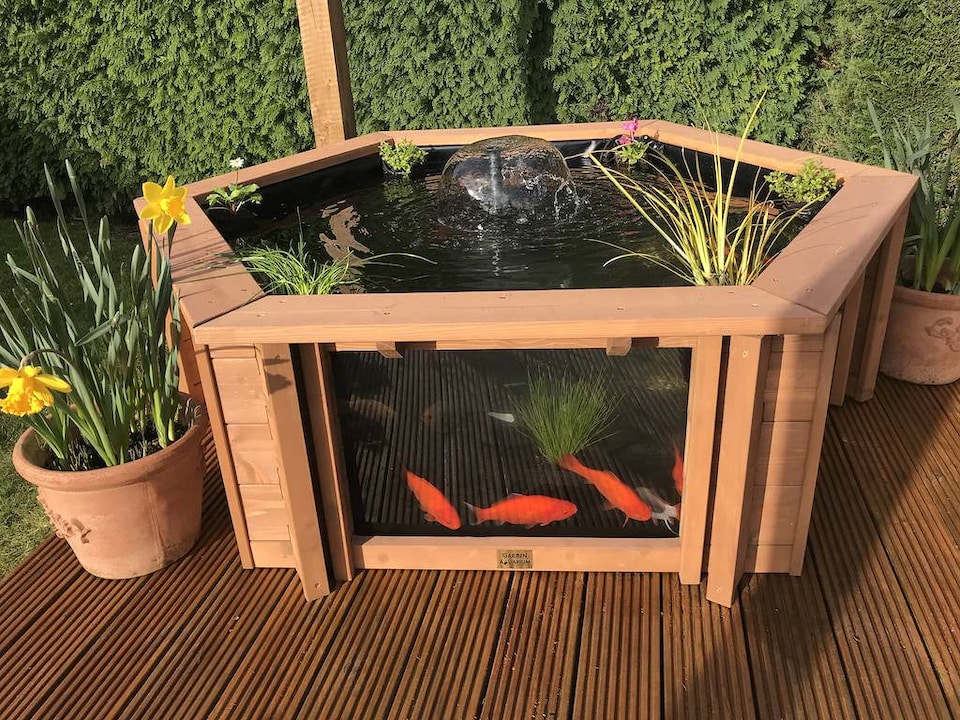 image 1 of Raised hexagon pond with large windows Lily Clear View Garden Aquarium in Natural Brown