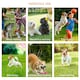 image 7 of 3-Piece Suit Agility Set for Dog Training Exercise Adjustable Obedience