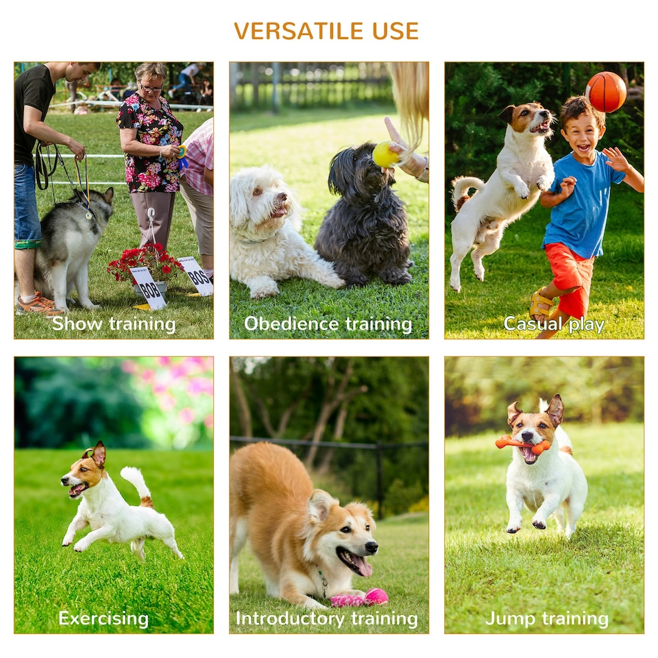 image 1 of 3-Piece Suit Agility Set for Dog Training Exercise Adjustable Obedience