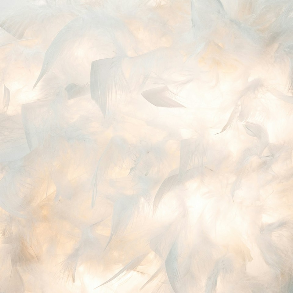 image 1 of Eye-Catching and Designer Small White Feather Decorated Pendant Lighting Shade