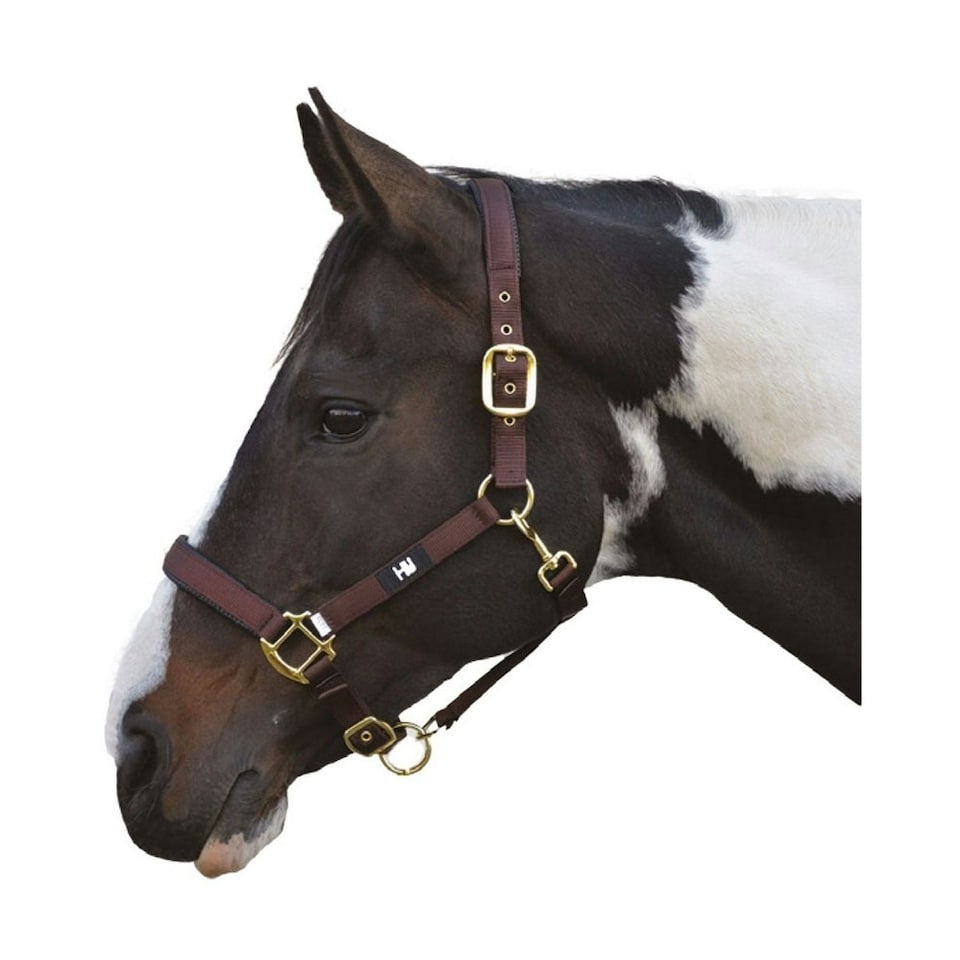 Hy Grand Prix Head Collar - Chocolate Brown - Full