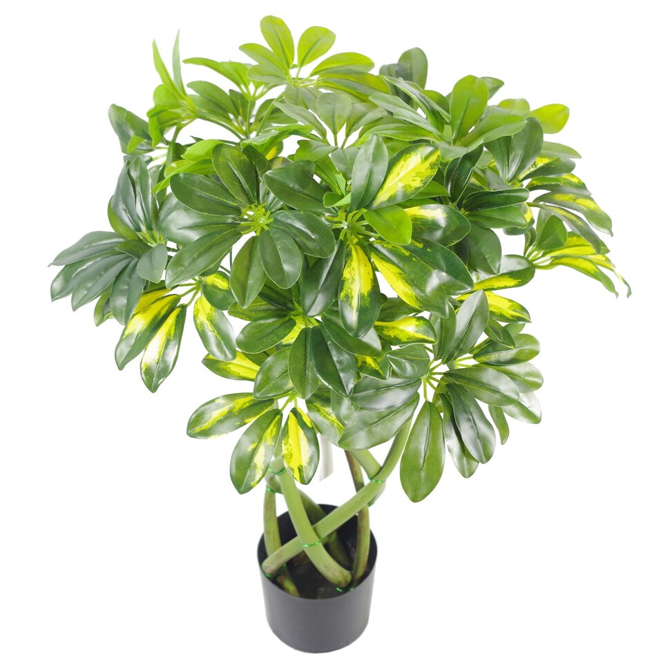 image 1 of 70cm Artificial Twisted Stem Modern Arboricola Artificial Plant Bonsai Bush Botanik