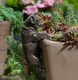 image 1 of Pug Plant Pot Hanger - L10.5 x W4.5 x H6 cm