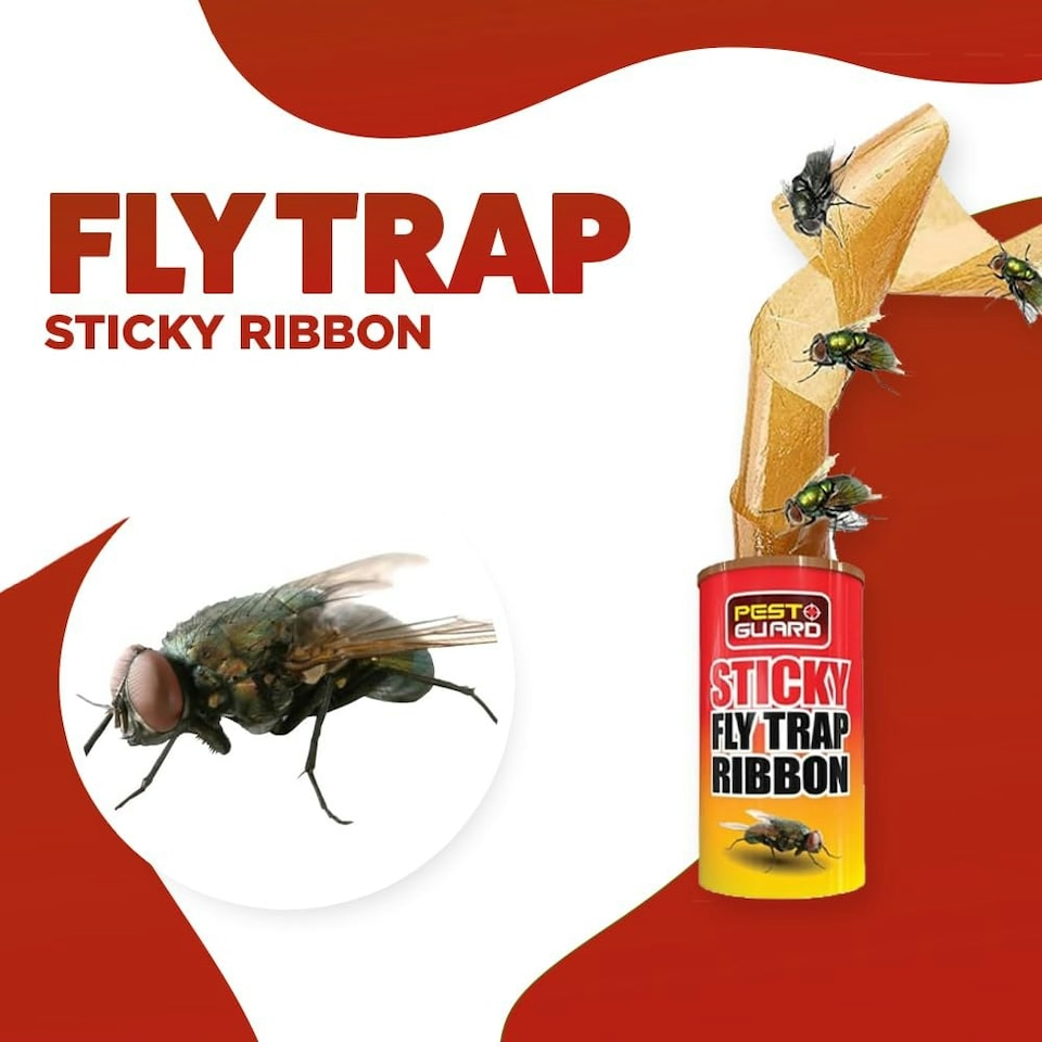 image 1 of Marco Paul 20 Pack of Sticky Fly Traps