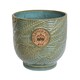 image 1 of Kew Leaf Embossed Cork Planter Green