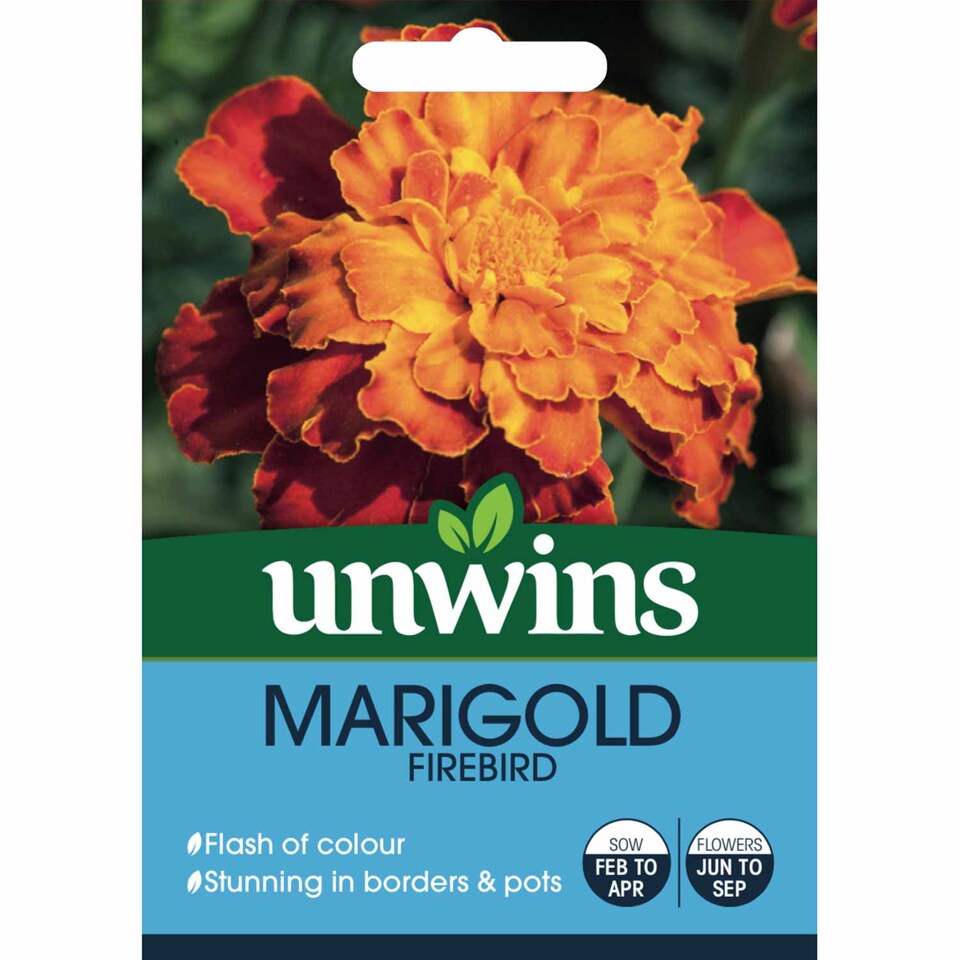 image 1 of Marshalls Garden Marigold Seeds Firebird - Fiery Mix for Pots & Borders 75 seeds