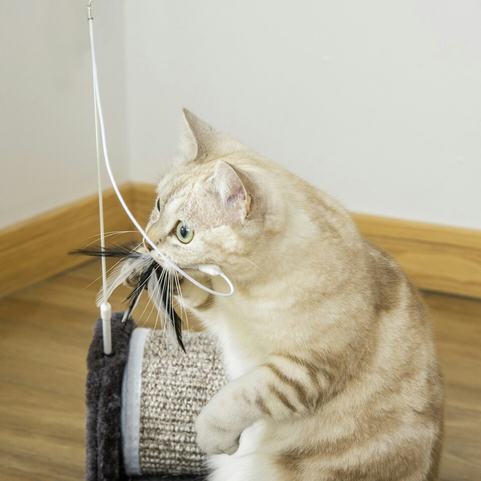 image 1 of PawHut Cat Scratcher Sisal Board with Roller Feather Toy, Grey