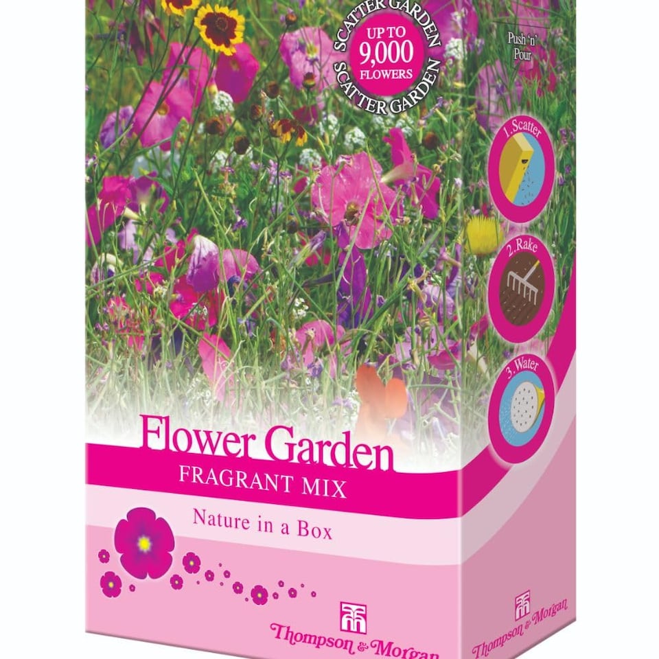 image 1 of Scatter Pack Flower Garden Fragrant Mix Easy Scatter Seed for Vibrant Colourful Blooms - Pack of 2 Thompson & Morgan