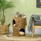 image 7 of PawHut 47cm Cat Barrel Tree for Indoor Cats w/ Two Cat Houses, Cushion
