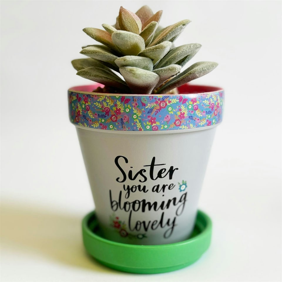 Love Plants Pot Ceramic Growing Garden Sister You Are Blooming N/A