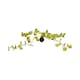 image 3 of Aquatic Aquarium Fish Tank Self Sinking Large Silk Plant Height 30cm  (No 13)