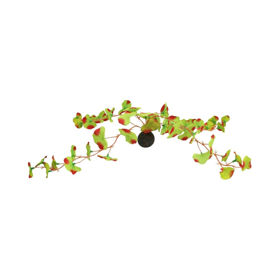 image 1 of Aquatic Aquarium Fish Tank Self Sinking Large Silk Plant Height 30cm  (No 13)