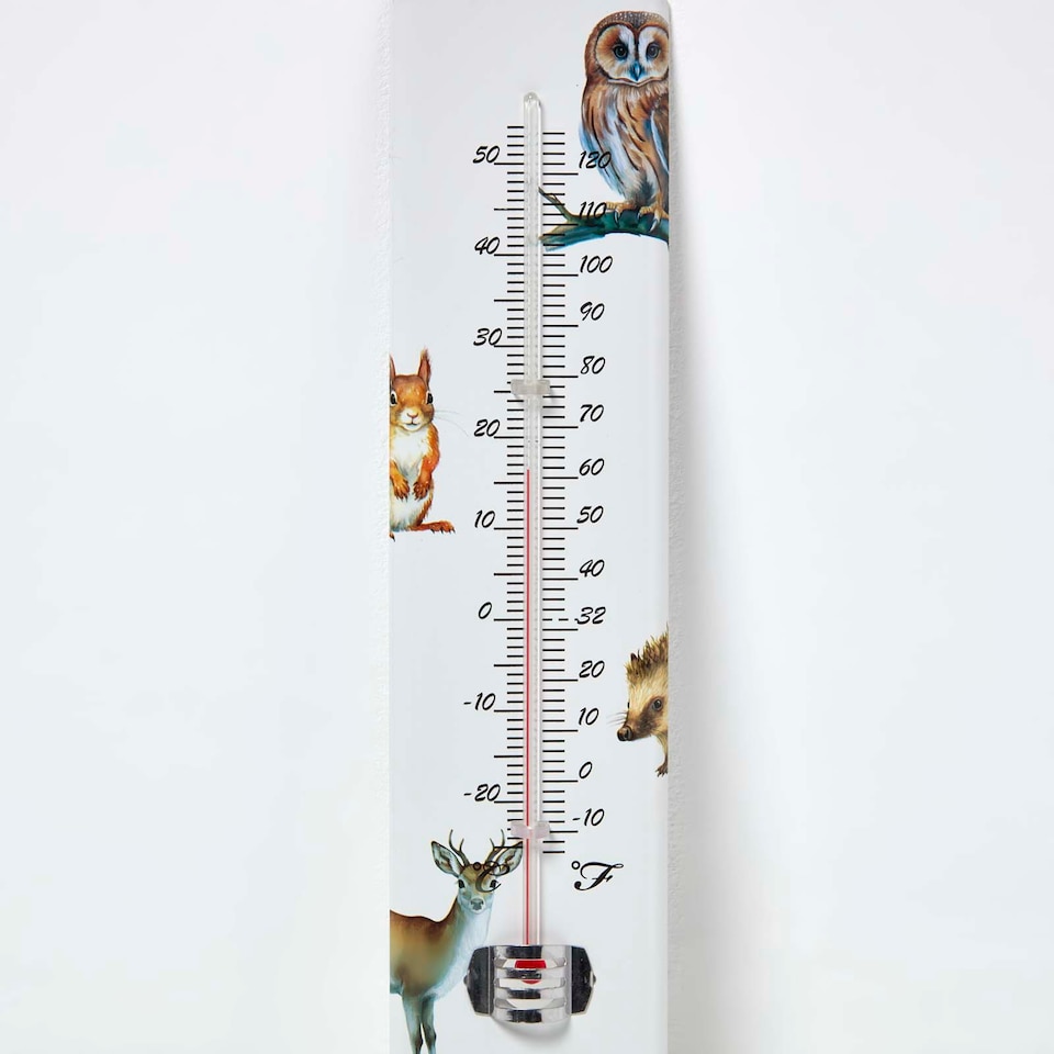 image 1 of Homescapes Outdoor Thermometer with Woodland Animal Design