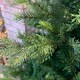 image 2 of Everlands 210cm (7ft) Green Grandis Fir Real Look Christmas Tree 2326 Tips