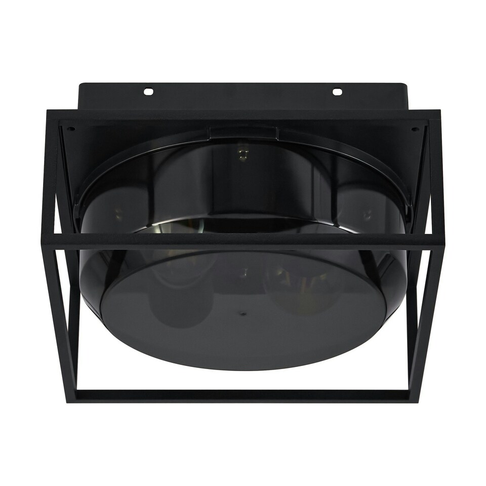 image 1 of Griffin | Ceiling light | Smoked