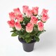image 3 of Homescapes Set of 3 Artificial Rosebuds with Gypsohila in Grave Vase