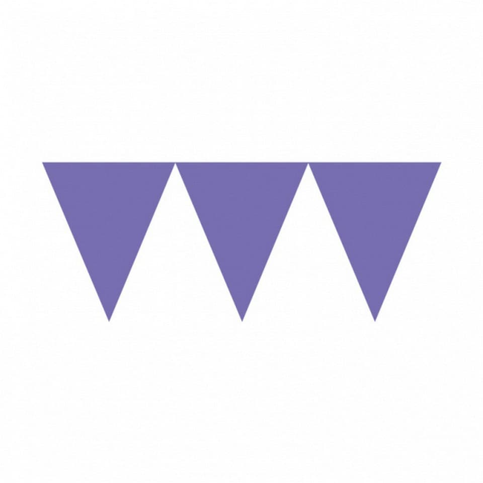 Amscan 15 Feet Purple Paper Pennant Banner - Purple - 15 feet