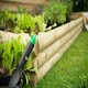 image 5 of Forest Garden Bed Builder Pack - Grow Your Own