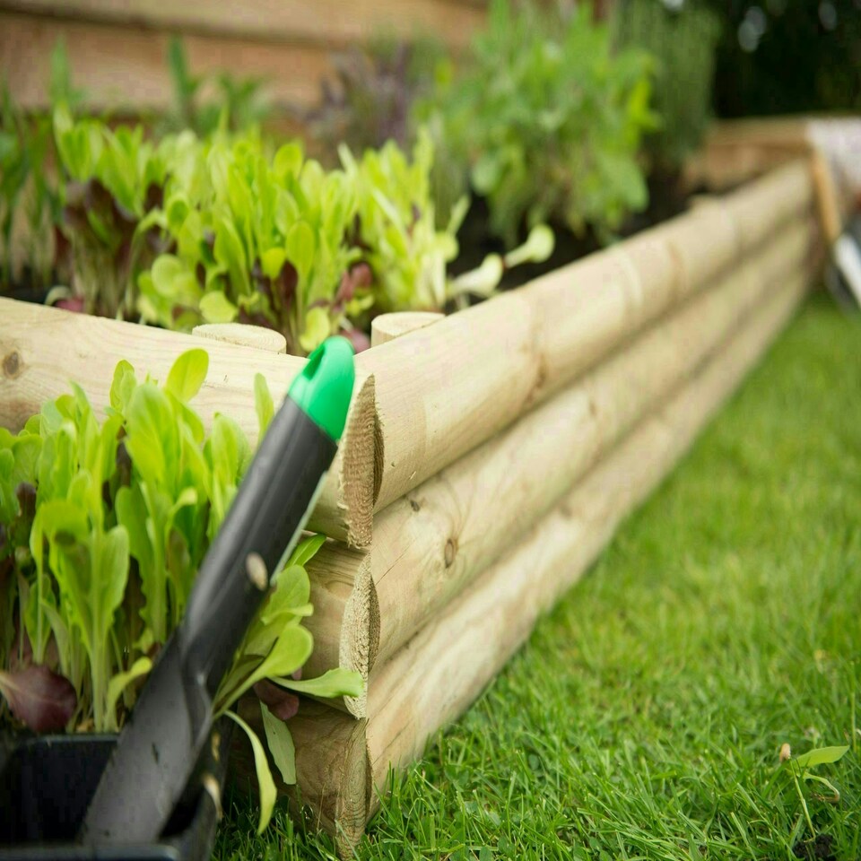 image 1 of Forest Garden Bed Builder Pack - Grow Your Own