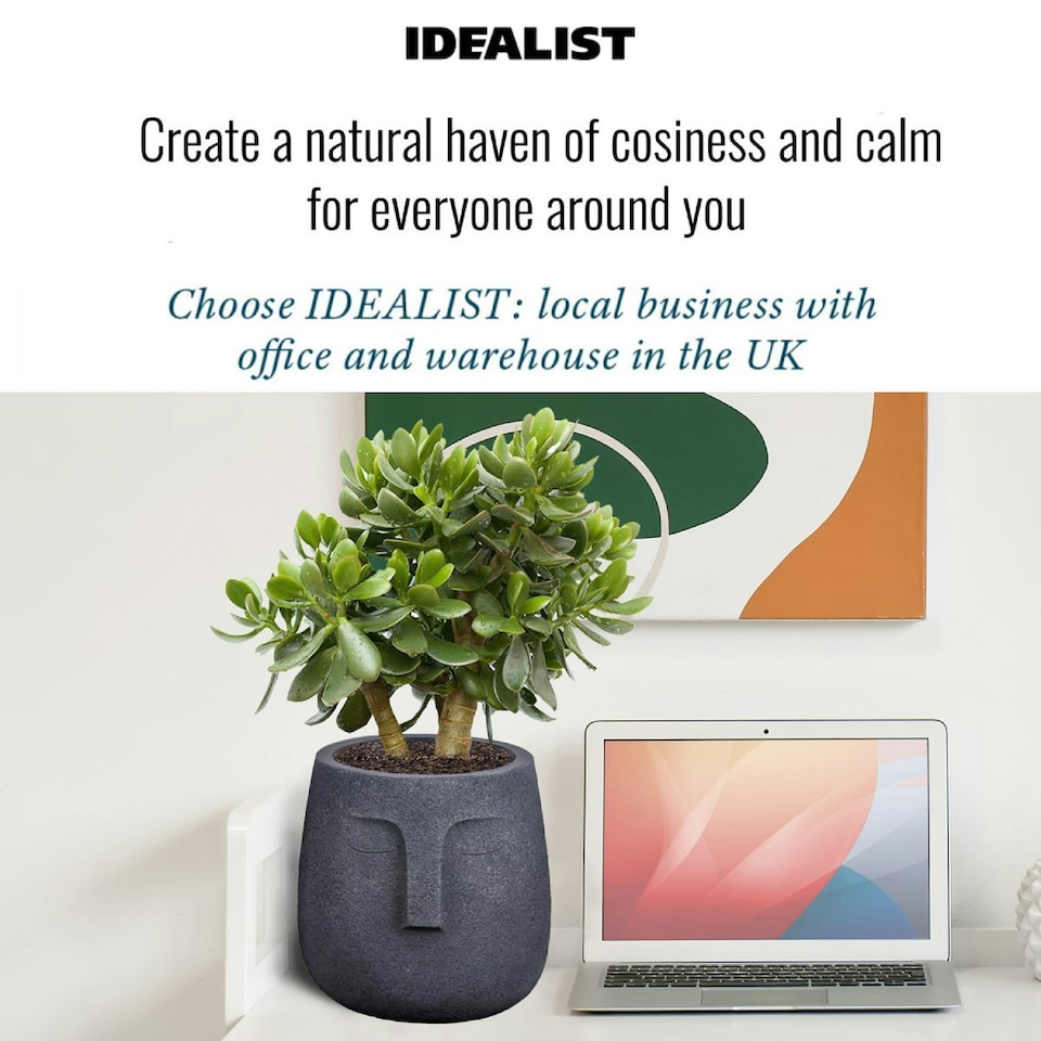 image 1 of Textured Concrete Effect Washed Black Oval Face Planter Indoor L30.5 D29.5 H29.5 cm, 13.9 ltrs Cap.