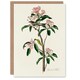 image 1 of John James Audubon Art Card Cuviers Kinglet Bird and Mountain Laurel