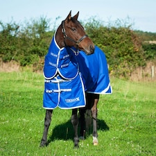 Gallop Equestrian Trojan Xtra 300 Dual Turnout Rug & Neck Set Blue | Size: 6ft 6
Colour: Royal Blue