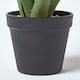 image 5 of Homescapes Aloe Vera Artificial Succulent in Black Pot, 30 cm Tall