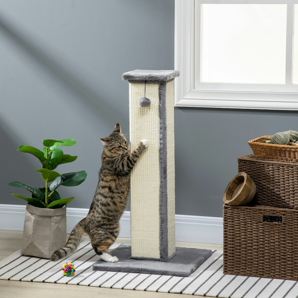 image 1 of PawHut Cat Scratching Post with Vertical Sisal Rope Ball Plush, 81cm, Grey