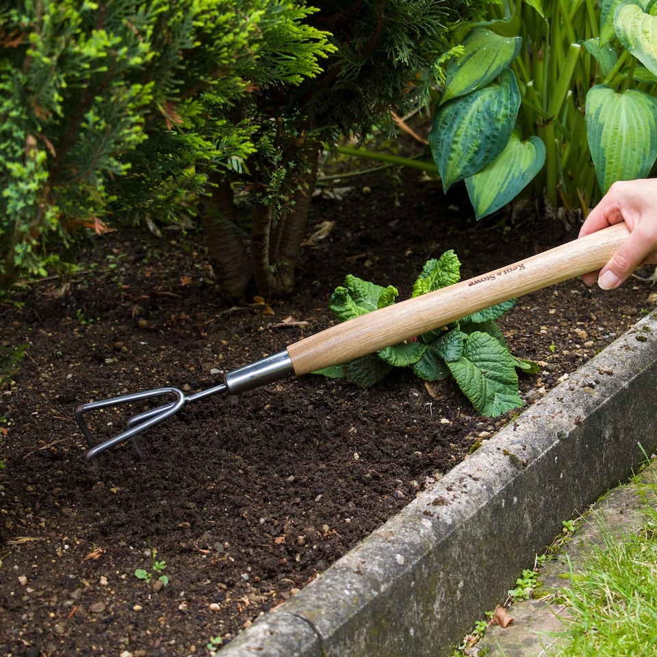 image 1 of Kent & Stowe Stainless Steel Border 3 Prong Cultivator | Multi | 21.4cm