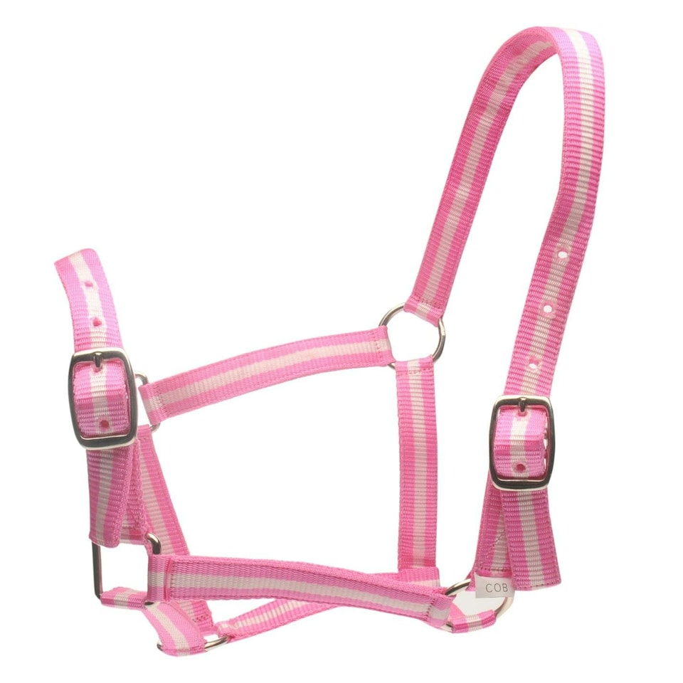 image 1 of Roma Horse Headcollar And Leadrope - Pink/Silver - Full