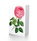 image 2 of Flower Red Rose Greetings Card