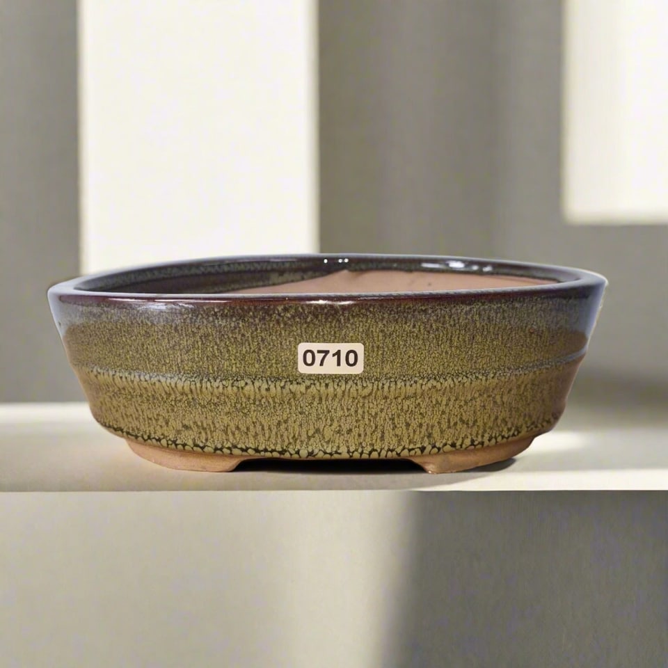 Yorkshire Bonsai 22cm Glazed Bonsai Pot Oval 22cm x 16cm x 7cm Green