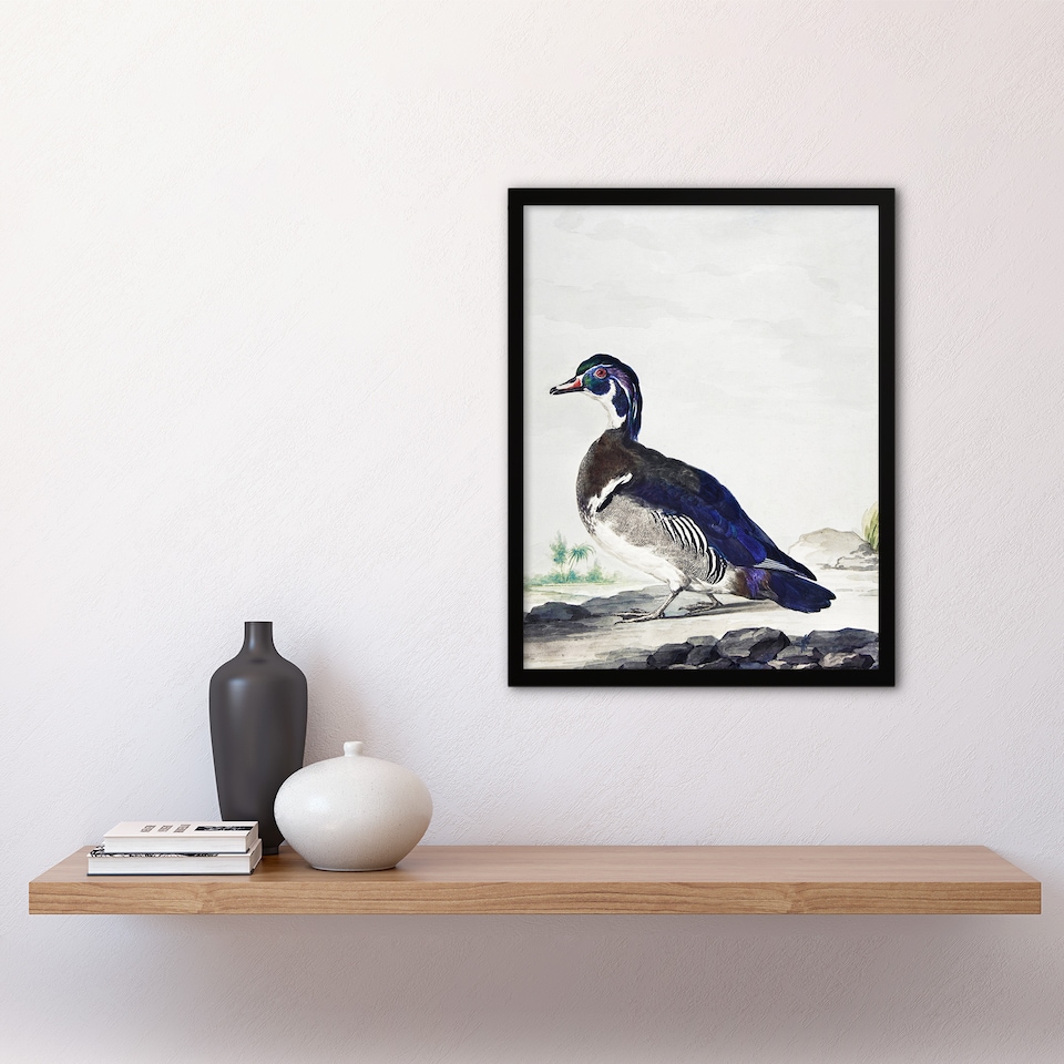 image 1 of Wood Duck Vintage Bird Oil Painting Schouman Framed Wall Art Print 12X16"