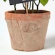 image 3 of Homescapes Artificial Basil Plant in Decorative Pot