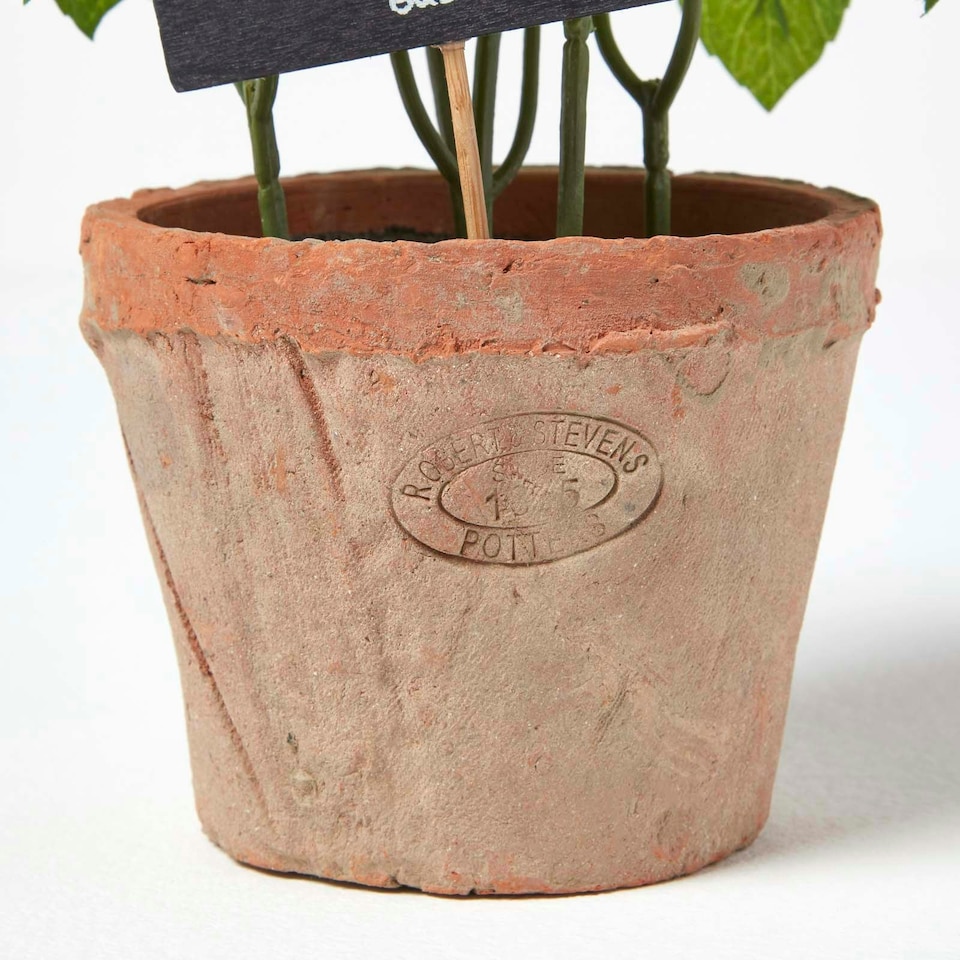 image 1 of Homescapes Artificial Basil Plant in Decorative Pot