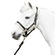 image 2 of Coldstream Langlee Luxury Horse Headcollar and Leadrope - Black - Cob
