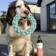 image 3 of HugglePets Recycled T-Shirt Ring Tugger Dog Toy
