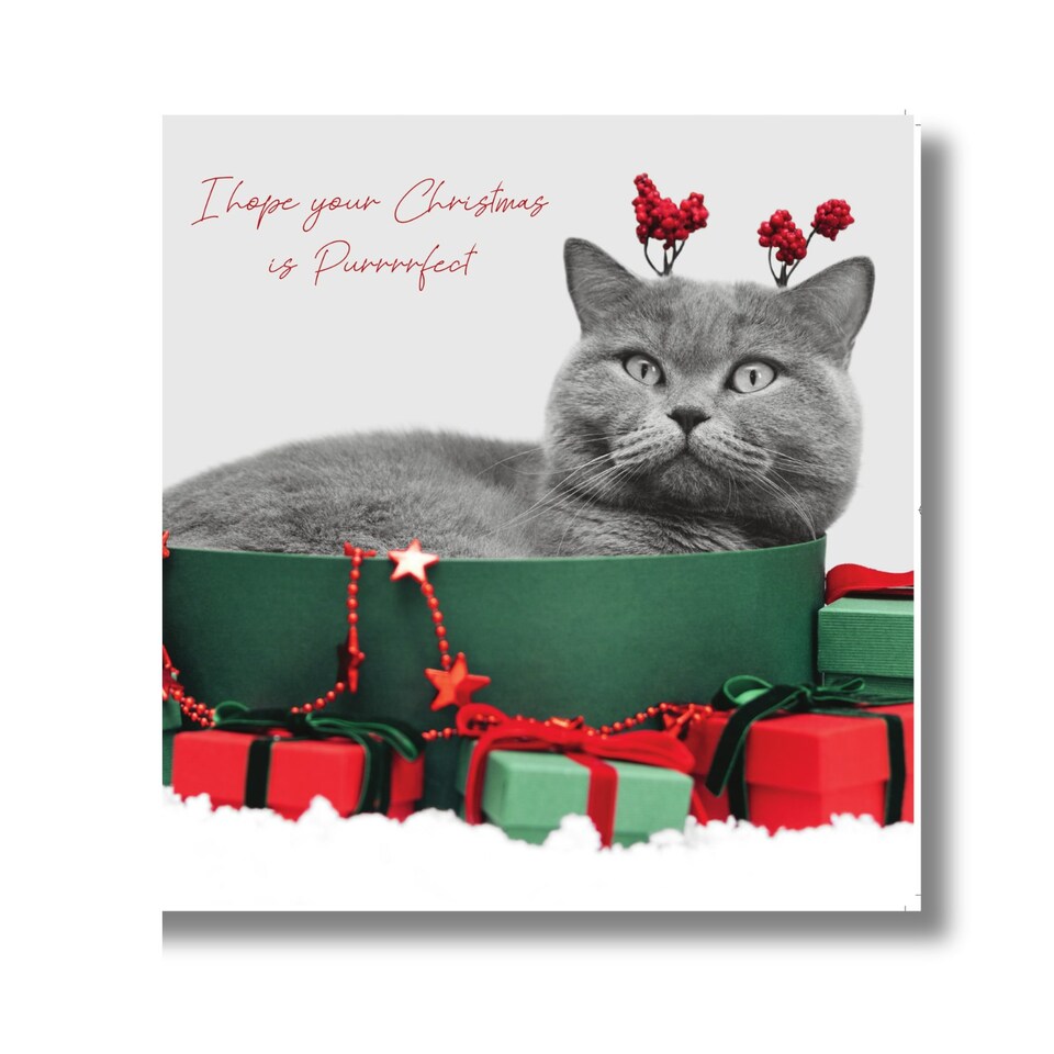 Emotional Rescue In Black & White, Christmas Card, Cat with Christmas Presents, 16.3 x 16.3 cms, Multi-Coloured