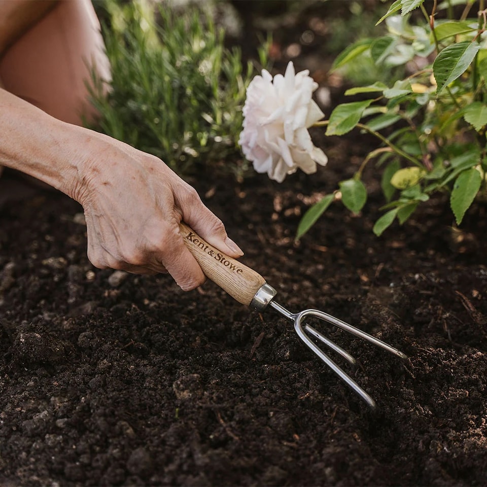 image 1 of Kent & Stowe Stainless Steel Hand 3 Prong Cultivator | Multi | One Size
