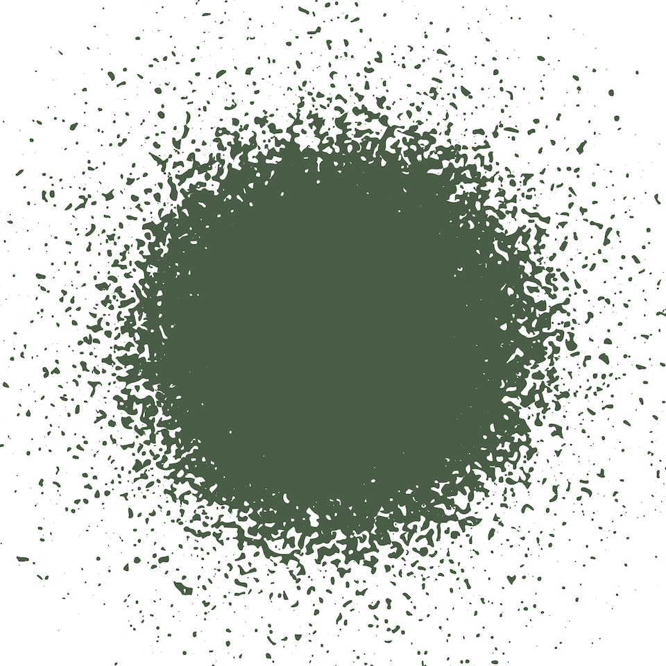 image 1 of Jenolite Camouflage Matt Paint - Olive Green - 400ml