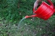 image 2 of Universal watering can rose Fan shaprd weedkiller sprinkler Whitefurze